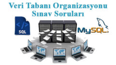 Veri Tabanı Sınav Soruları (Deneme Sınavı 7)