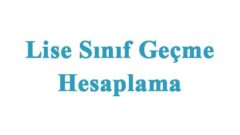Lise Sınıf Geçme Hesaplama
