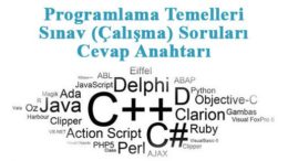 Programlama Temelleri Sınav Soruları-2 (Cevap Anahtarı)