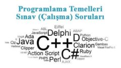 Programlama Temelleri Sınav Soruları-1