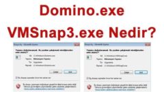 Domino.exe ve VMSnap3.exe nedir?