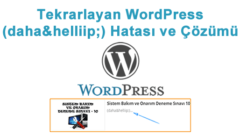 Tekrar Eden WordPress Devamını Oku (daha&helliip;) Hatası Çözümü