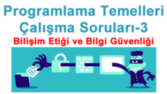 Programlama Temelleri Çalışma Soruları 3