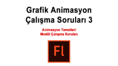 Grafik Animasyon Çalışma Soruları 3