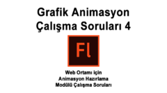 Grafik Animasyon Çalışma Soruları 4