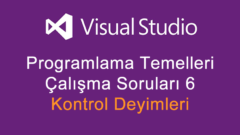 Programlama Temelleri Çalışma Soruları 6