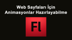 Web Sayfaları İçin Animasyonlar Hazırlayabilme